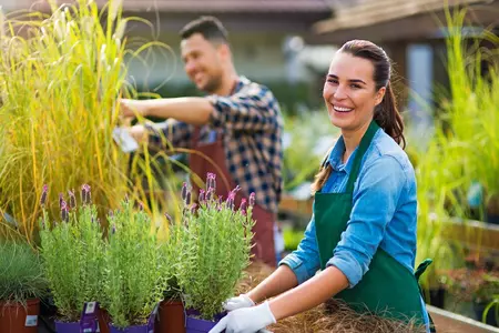 6 reasons why Local SEO Marketing is important for your garden centre