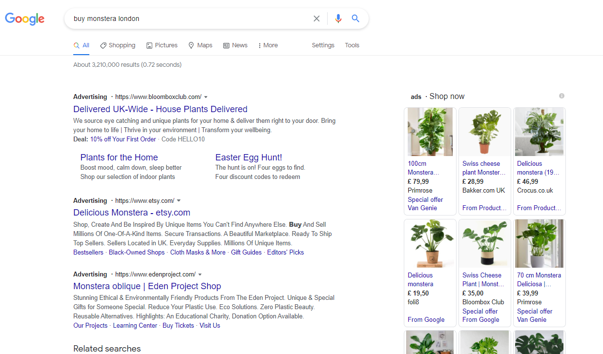 Google Ads for garden centres